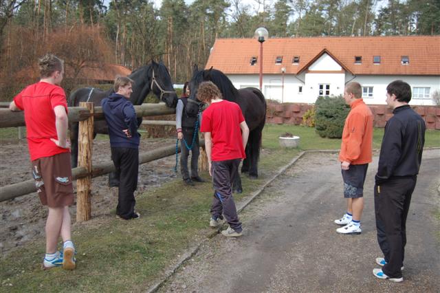 tak pojd ty brute.JPG